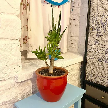 מלון Marissa Boutique